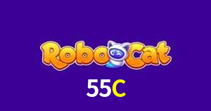 Experiência VIP 55C