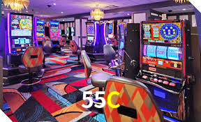 Sports Statistics 55C