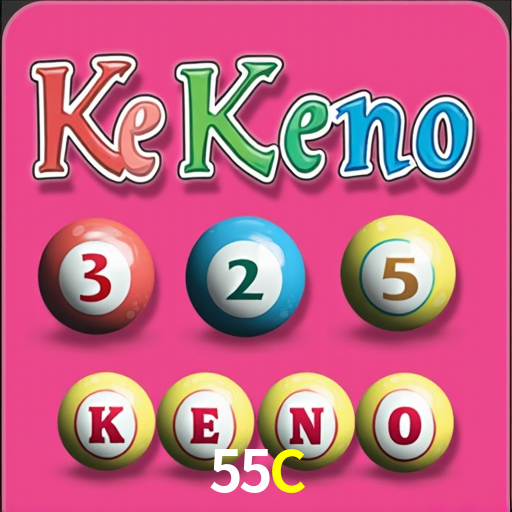 Security Systems 55C